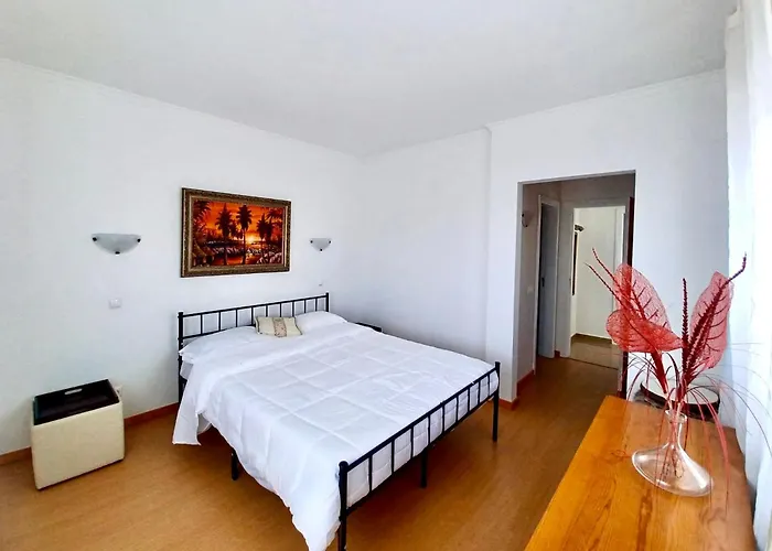 Oasis Park Modern In *